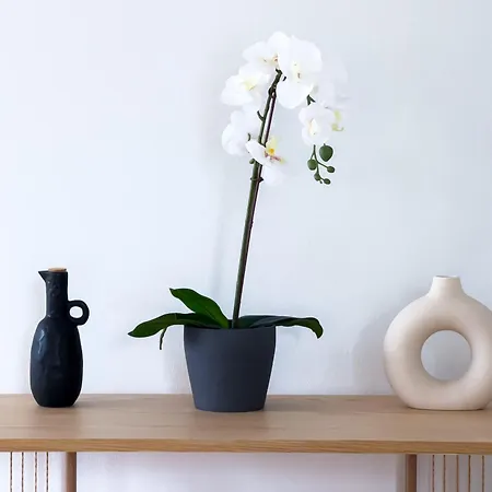 Stunning 1br In The Centre With Free Garage Apartment